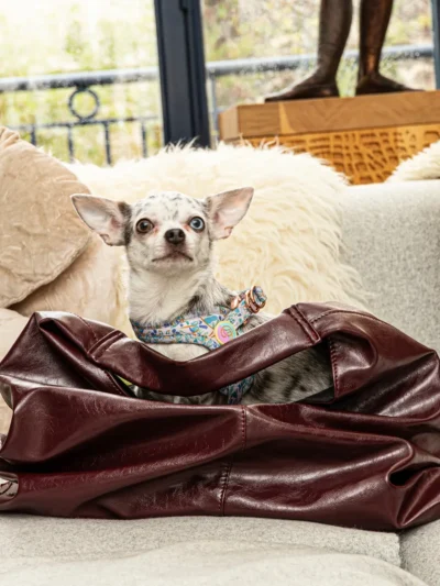 chouchou-harnais-style-parisien