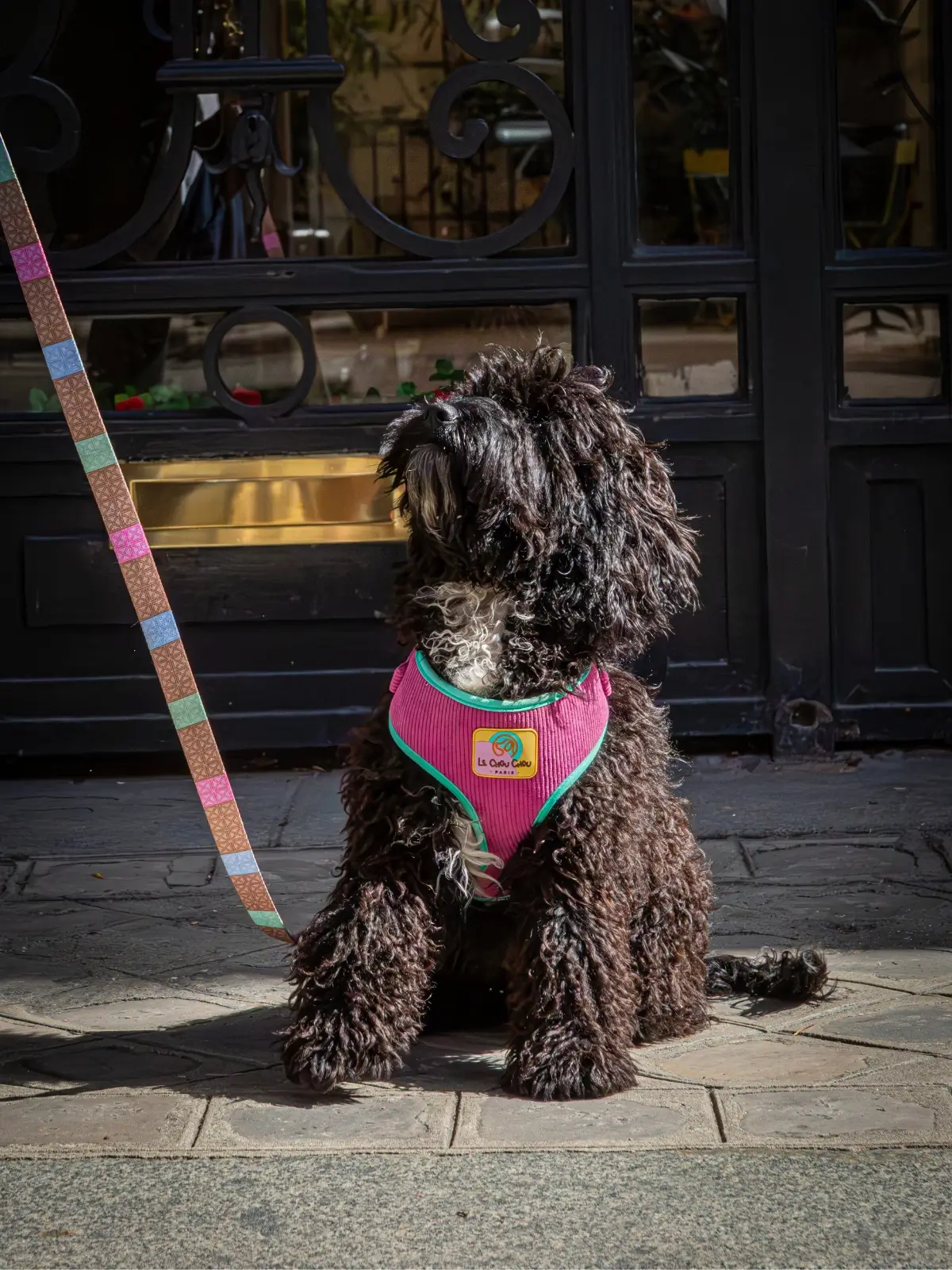 laisse-parisienne-chien Promenade Pastelle Dog Leash - Image 2