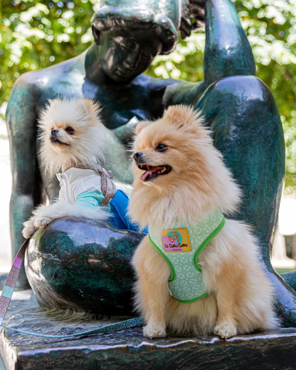 Two Pomeranians wearing Le ChouChou Paris harnesses posing on a bronze statue in a sunny park.