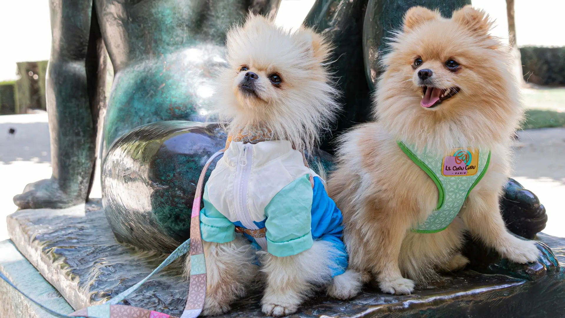 Two stylish Pomeranians in Le ChouChou Paris harnesses posing by a bronze sculpture in a Paris park